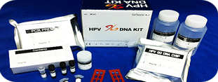 Genotyping DNA chip, Protein chip, HPV DNA kit, MTB/NTM DNA kit, HBV Drug Resistant, MTB Drug Resistant 