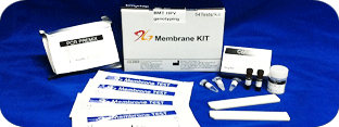 Genotyping DNA chip, Protein chip, HPV DNA kit, MTB/NTM DNA kit, HBV Drug Resistant, MTB Drug Resistant 